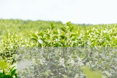 失眠 普洱茶/2023042880325